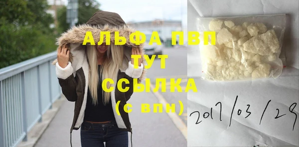 стафф Алексин