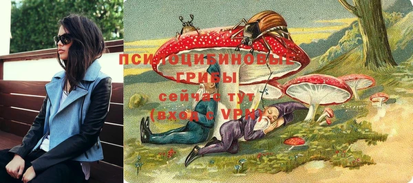 стафф Алексин